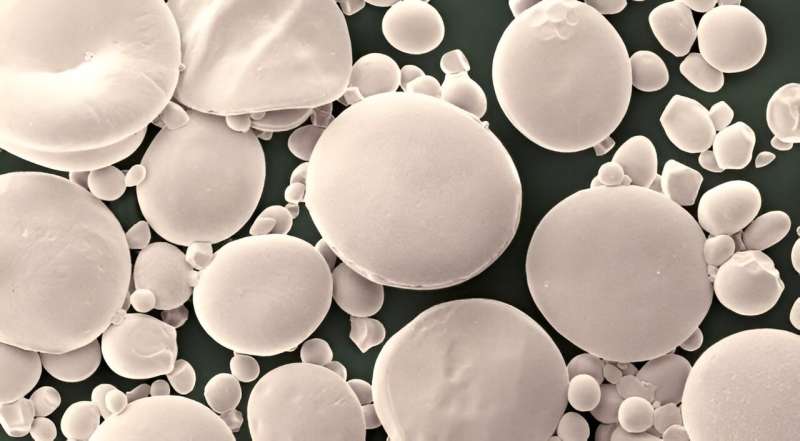 Starch discovery unlocks benefits for brewing, baking and milling industries